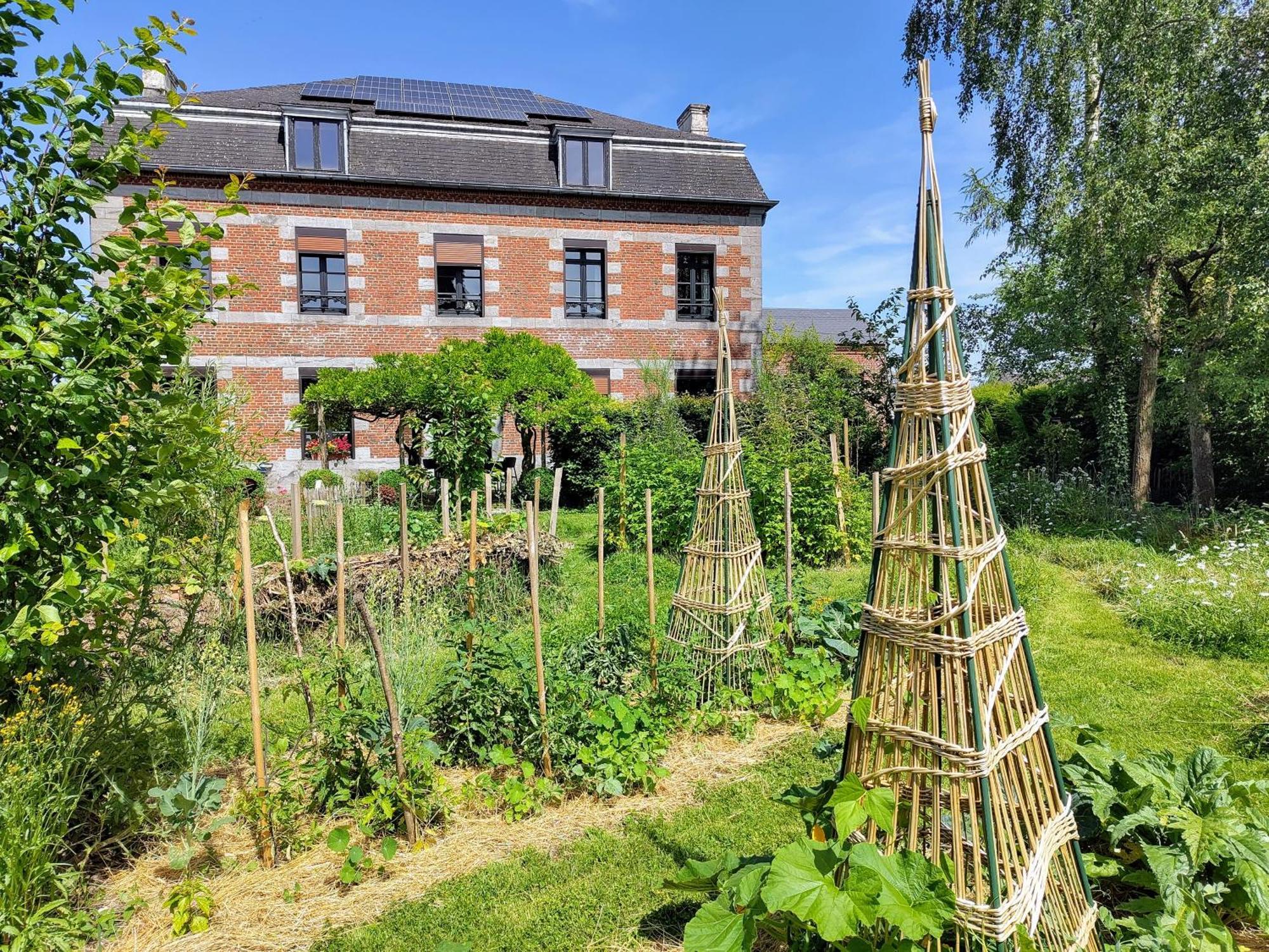 Bed and Breakfast Aubepine Sains-du-Nord Exteriér fotografie
